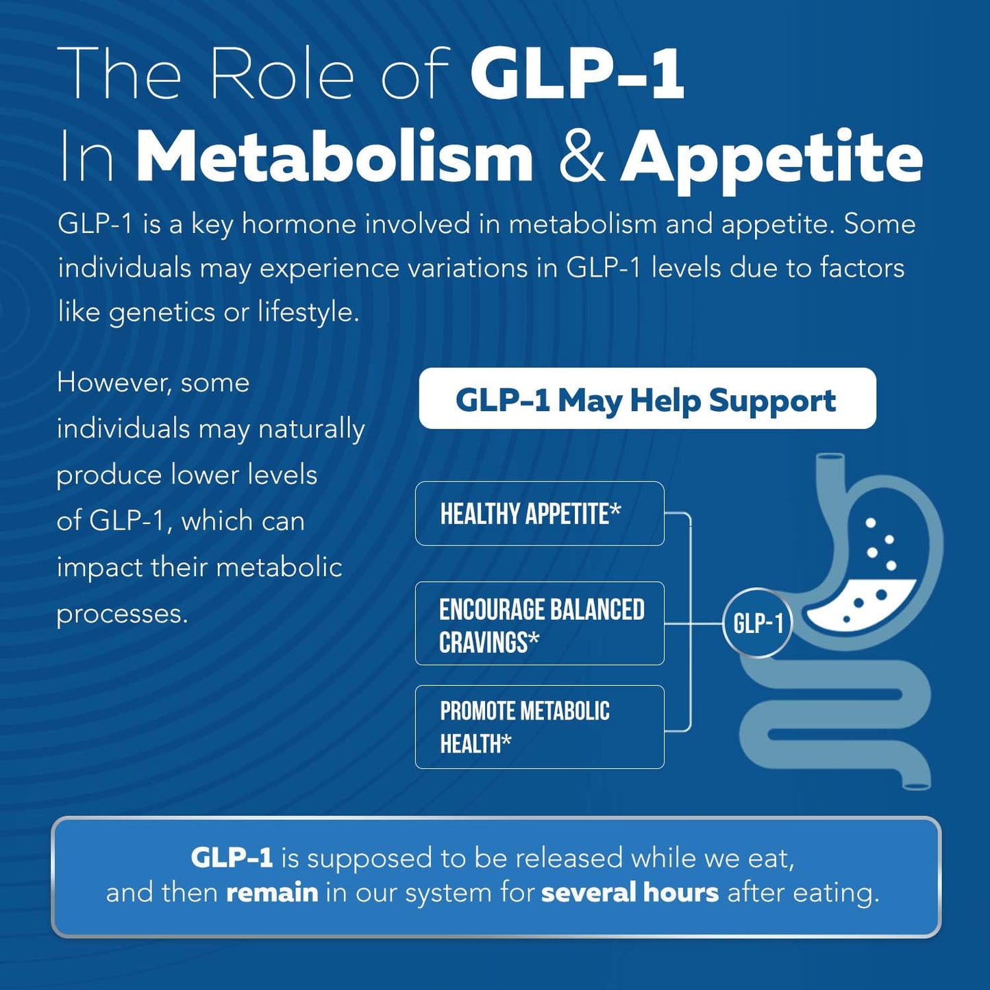 Vedex™ GLP-Activate: Holistic GLP-1 Support