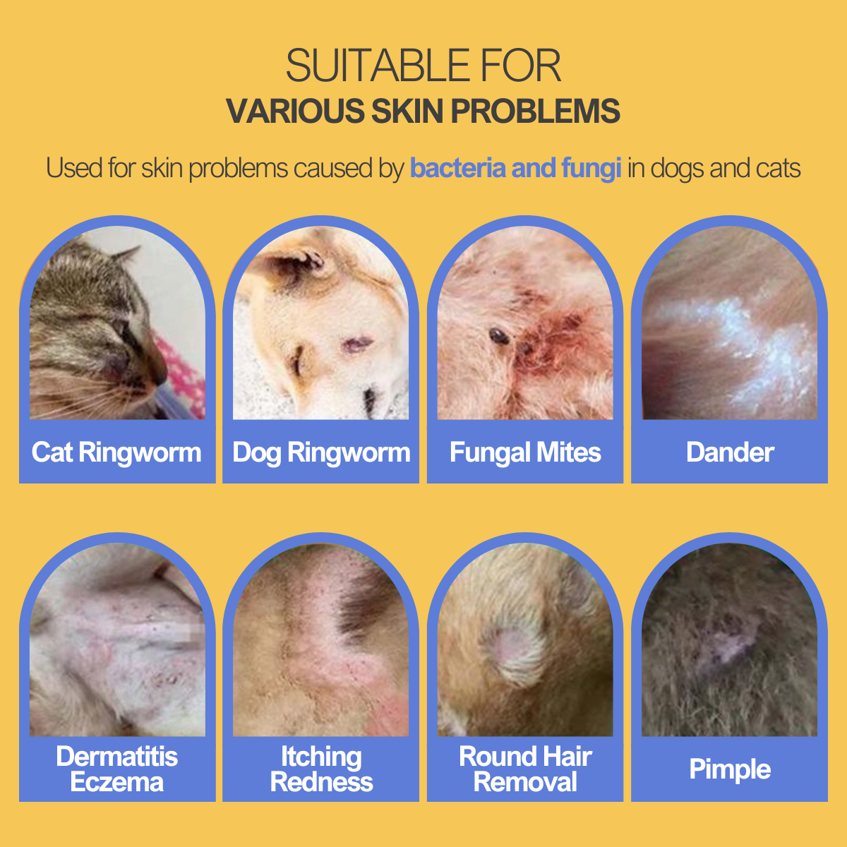 Vet Formulated Soothing Spray