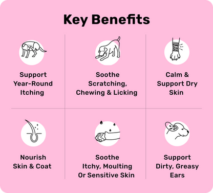 120 tasty treats for itchy, irritated & sensitive skin