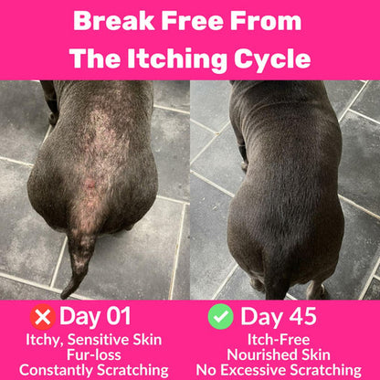 120 tasty treats for itchy, irritated & sensitive skin