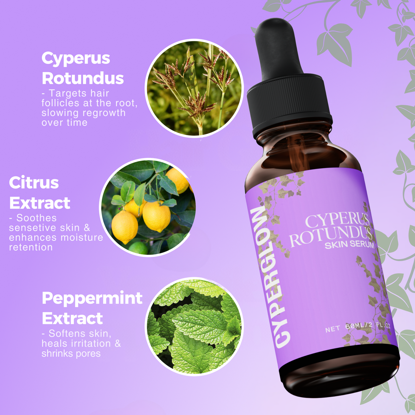 Cyperus Rotundus Skin Oil