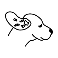 Support dirty, greasy ears